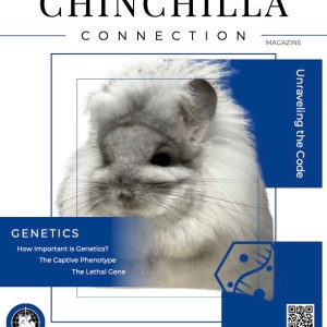 Chinchilla Connection Magazine - 2024 Issue 3: Unraveling the Code