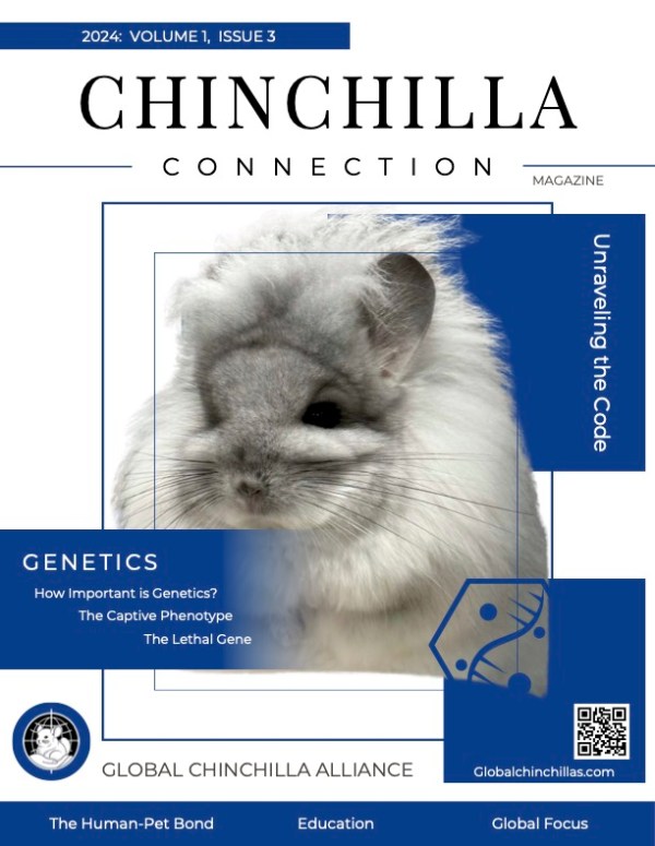 Chinchilla Connection Magazine - 2024 Issue 3: Unraveling the Code