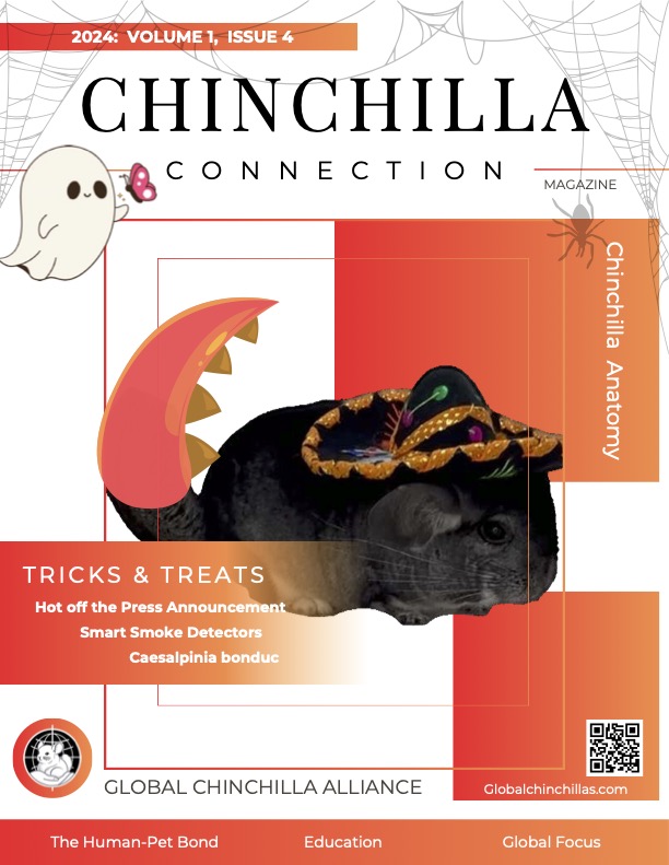 Chinchilla Connection Magazine - 2024 Issue 4: Chinchilla Anatomy