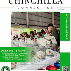 Chinchilla Connection Magazine - 2024 Issue 5: An International Look