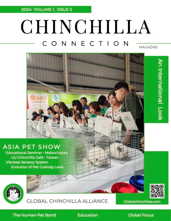 Chinchilla Connection Magazine - 2024 Issue 5: An International Look