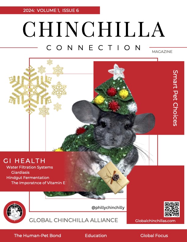Chinchilla Connection Magazine - 2024 Issue 6: Smart Pet Choices