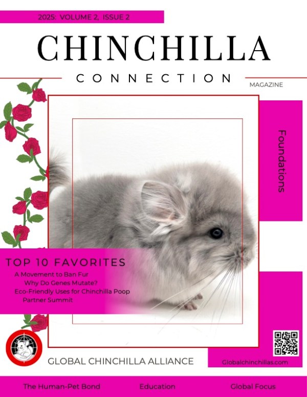 Chinchilla Connection Magazine - 2025 Issue 2: Foundations