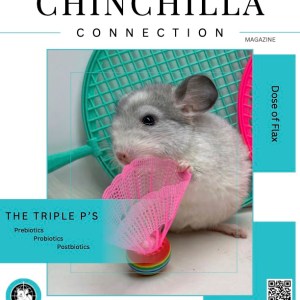 Chinchilla Connection Magazine - 2025 Issue 7: Dose of Flax