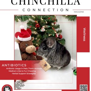 Chinchilla Connection Magazine - 2025 Issue 12: Wellness