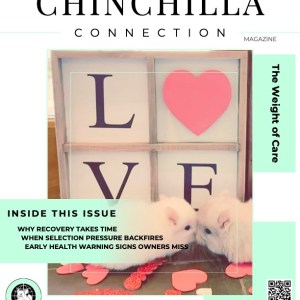 Chinchilla Connection Magazine - 2026 Issue 2: The Weight of Care