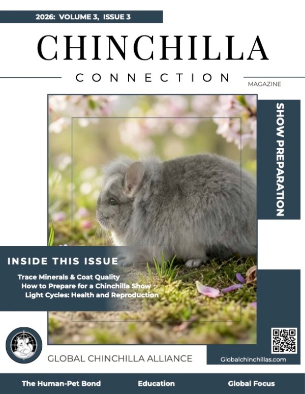 Chinchilla Connection Magazine - 2026 Issue 3: Show Preparation