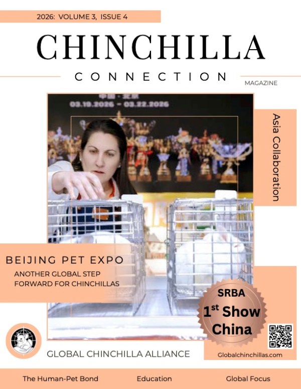 Chinchilla Connection Magazine - 2026 Issue 4: Asia Collaboration
