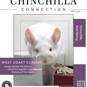 Chinchilla Connection Magazine - 2026 Issue 5: Chinchilla Well Being